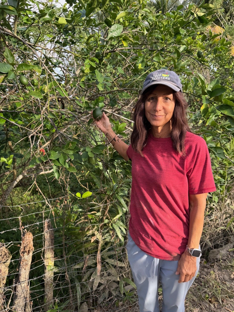 Luisa Szakacs holding a green citrus fruit on a tree in Fiji, perfectly ripe despite the color.
