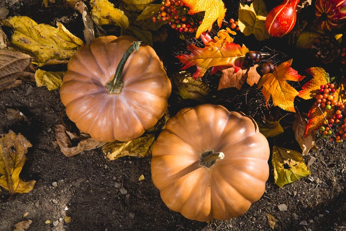 How will you spend your Thanksgiving?